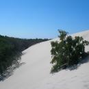 Moving dunes 2